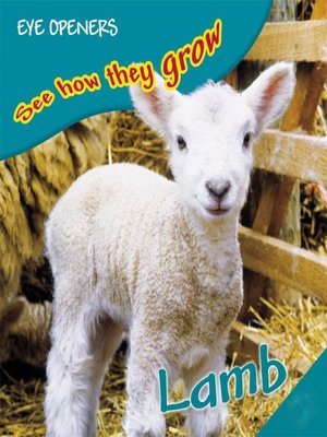 cover image of Lamb